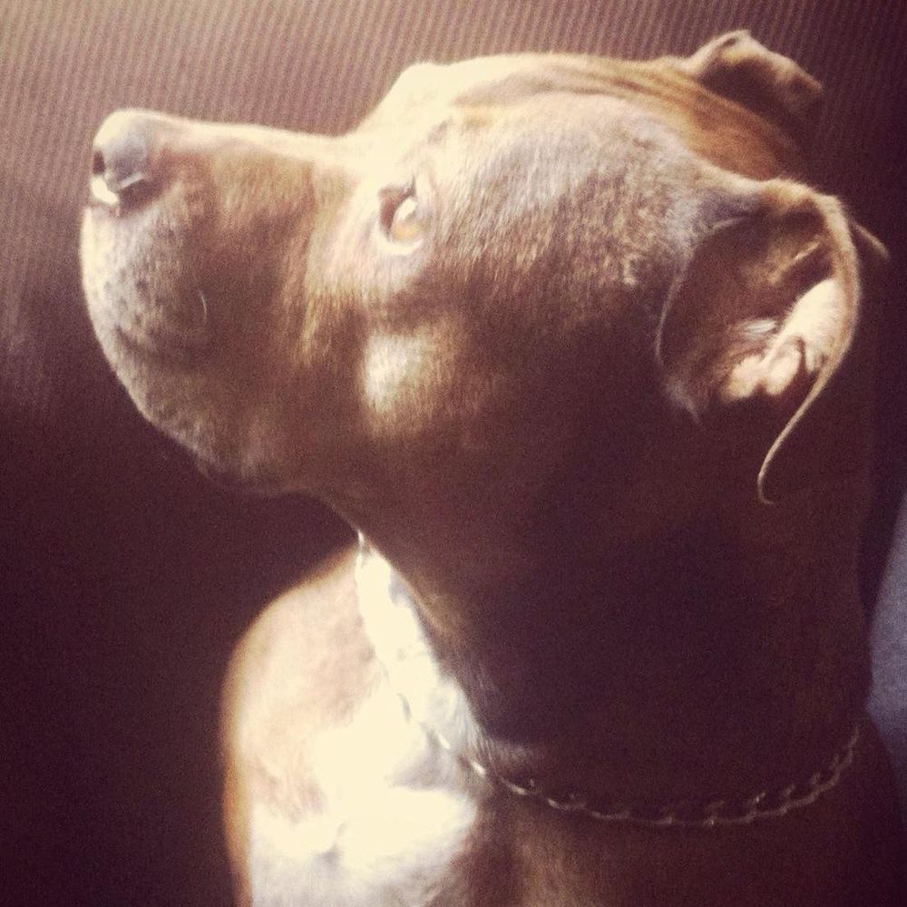 Meet your Posher, Ian